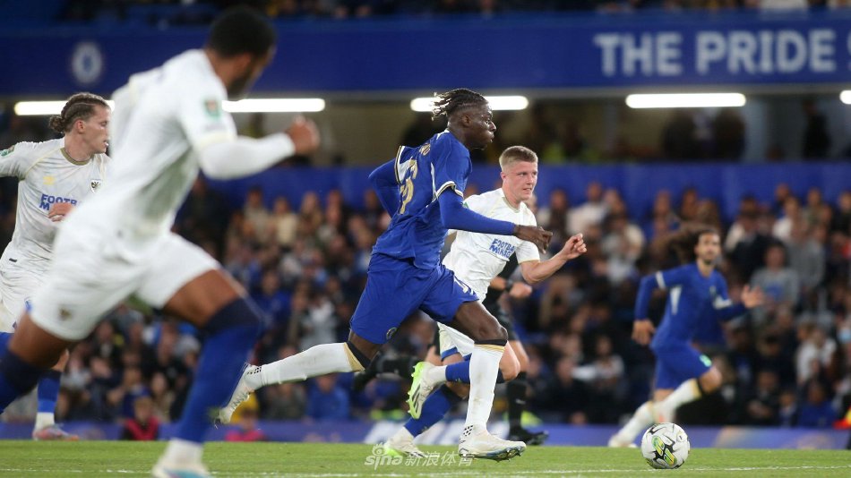 减少了威胁 减少了威胁